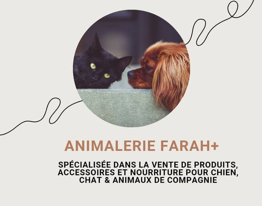 Animalerie farah