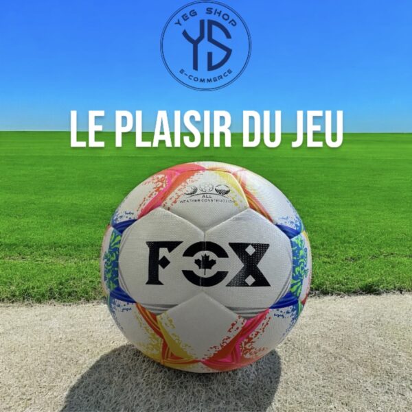 Ballon de football N5 Fox