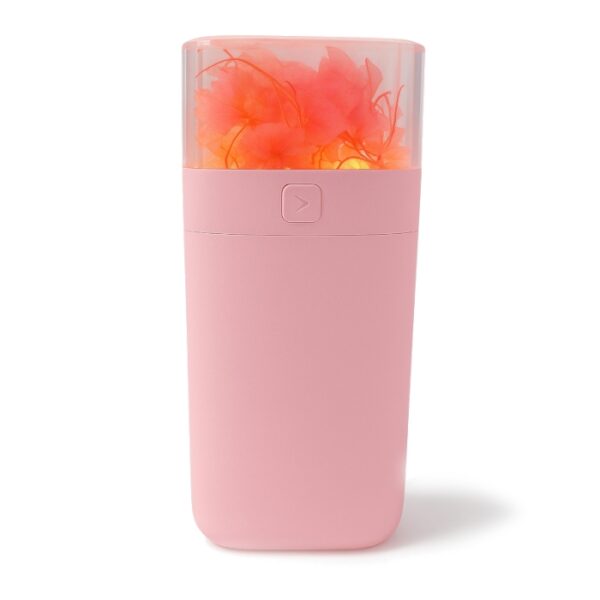 Diffuseur Humidificateur Eternal Flower - Rose